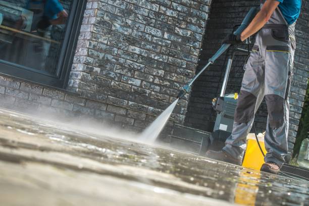 Best Building Exterior Pressure Washing in Davis Junction, IL