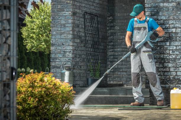 Best Brick and Stone Cleaning in Davis Junction, IL