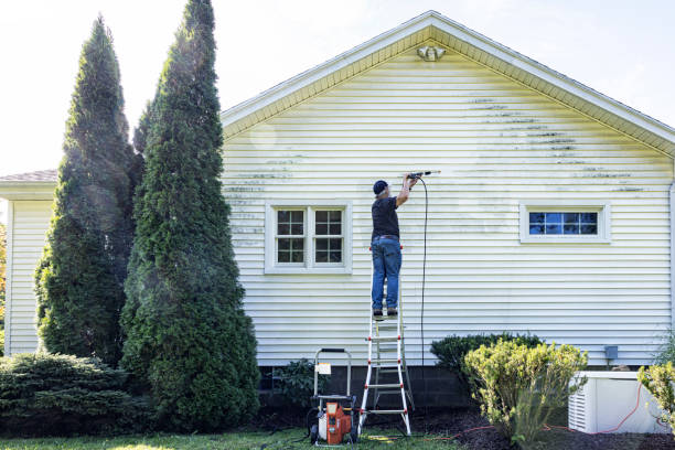 Professional Pressure Washing Services in Davis Junction, IL
